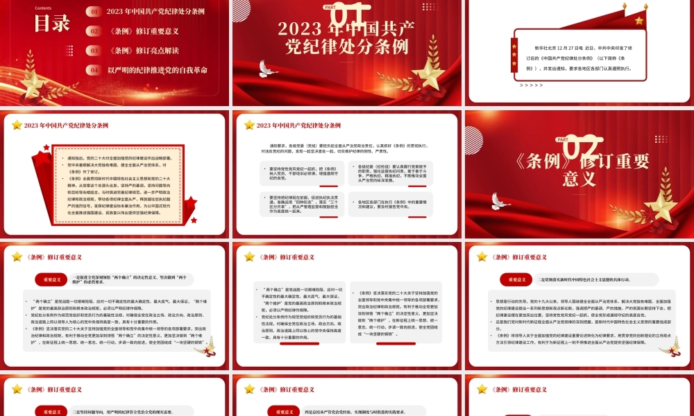 2024年新修订中国共产党纪律处分条例PPT模板.pptx