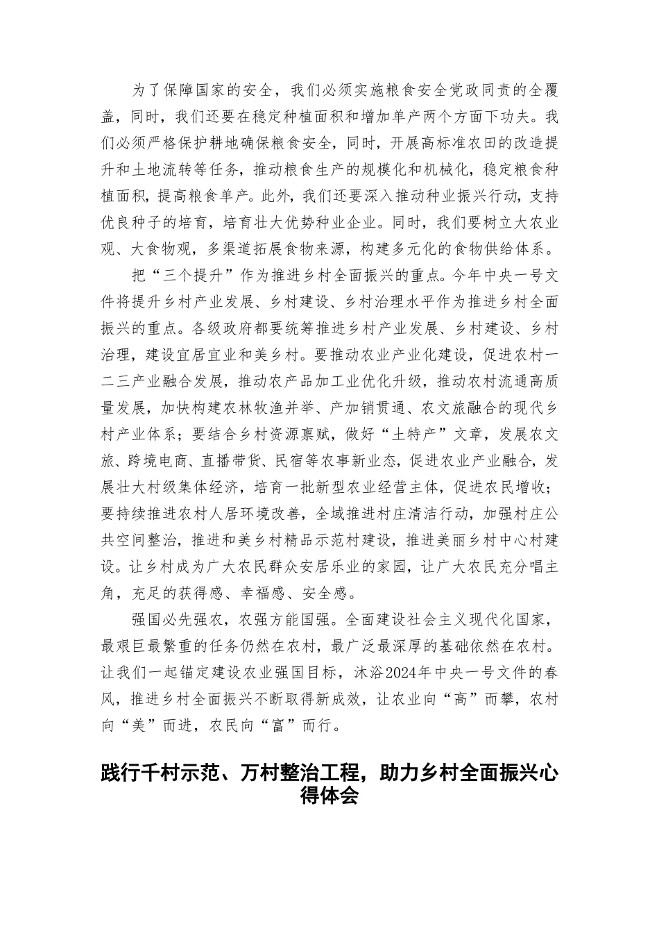 （10篇）落实2024年一号文件精神心得体会发言.doc_第2页