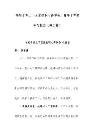 年轻干部上下互派挂职心得体会、青年干部使命与担当（共三篇）.docx
