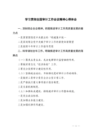 2024年学习贯彻全国审计工作会议精神心得体会.doc