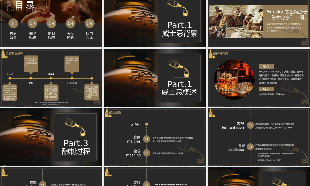 威士忌酒类基础知识介绍PPT模板.pptx