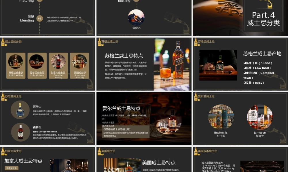 威士忌酒类基础知识介绍PPT模板.pptx
