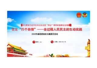 2024年坚定“四个自信”全过程人民民主的生动实践团组织主题团日活动.doc
