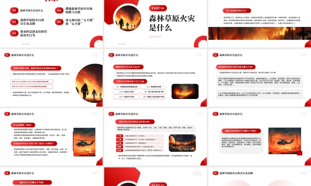 世界森林日森林草原防火主题宣传.pptx