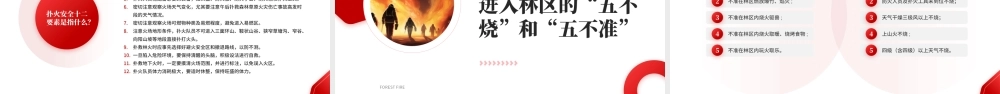 世界森林日森林草原防火主题宣传.pptx