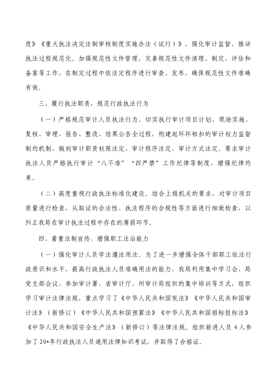 审计法治建设工作总结述职报告.docx_第2页
