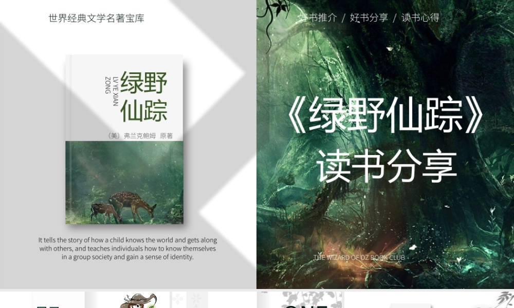 绿色清新风绿野仙踪读书分享PPT.pptx
