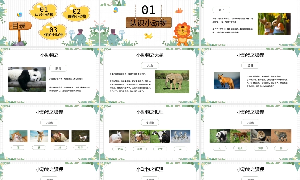 绿色卡通风认识小动物PPT.pptx