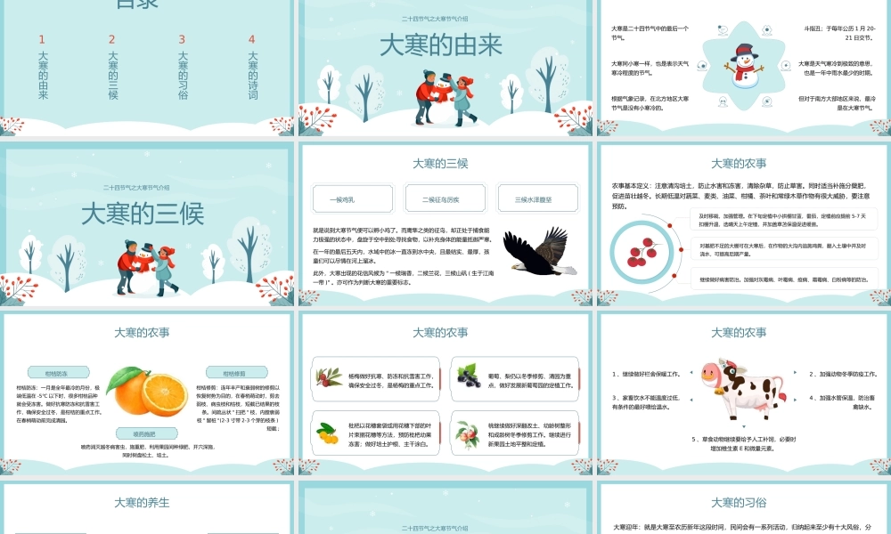 二十四节气大寒节气介绍PPT模板.pptx