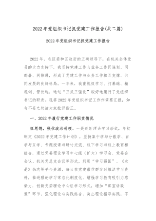 2022年党组织书记抓党建工作报告(共二篇).docx