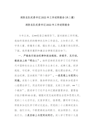 消防总队纪委书记2022年工作述职报告(共二篇).docx