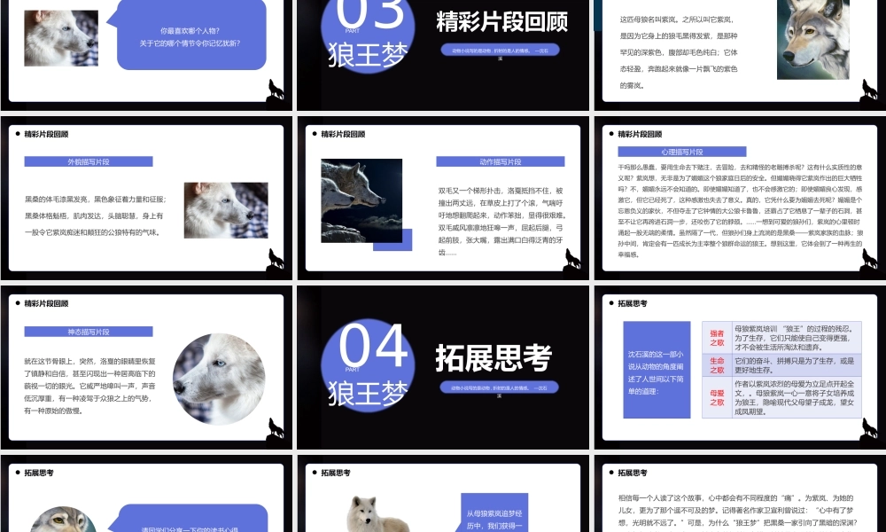 蓝色简约风读书分享狼王梦PPT.pptx