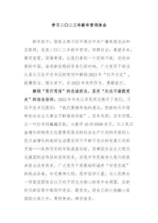 学习二〇二三年新年贺词体会3篇.docx