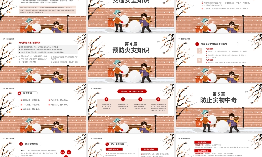 中小学生寒假安全教育班会.pptx