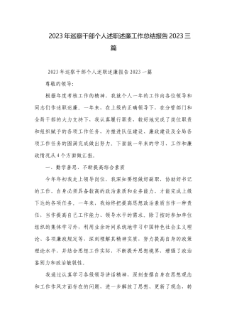 2023年巡察干部个人述职述廉工作总结报告2023三篇.docx
