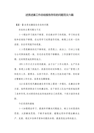 述责述廉工作总结报告存在的问题范文六篇.docx