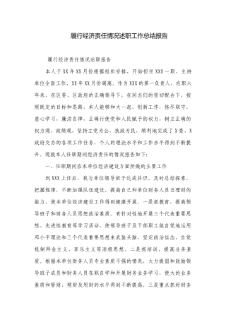 履行经济责任情况述职工作总结报告.docx