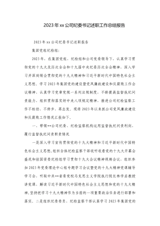 2023年xx公司纪委书记述职工作总结报告.docx