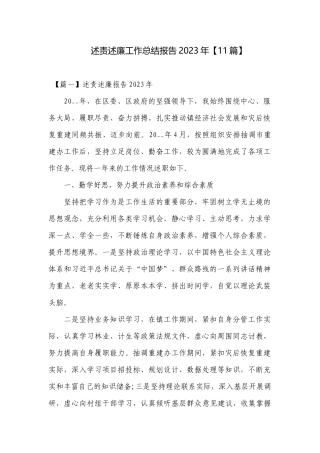 述责述廉工作总结报告2023年【11篇】.docx