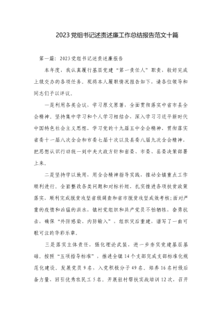 2023党组书记述责述廉工作总结报告范文十篇.docx
