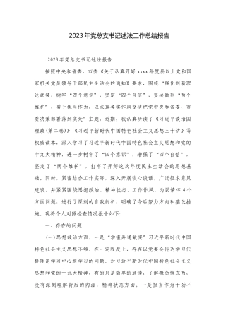 2023年党总支书记述法工作总结报告.docx