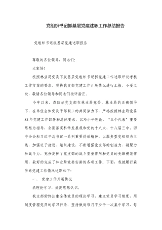 党组织书记抓基层党建述职工作总结报告.docx