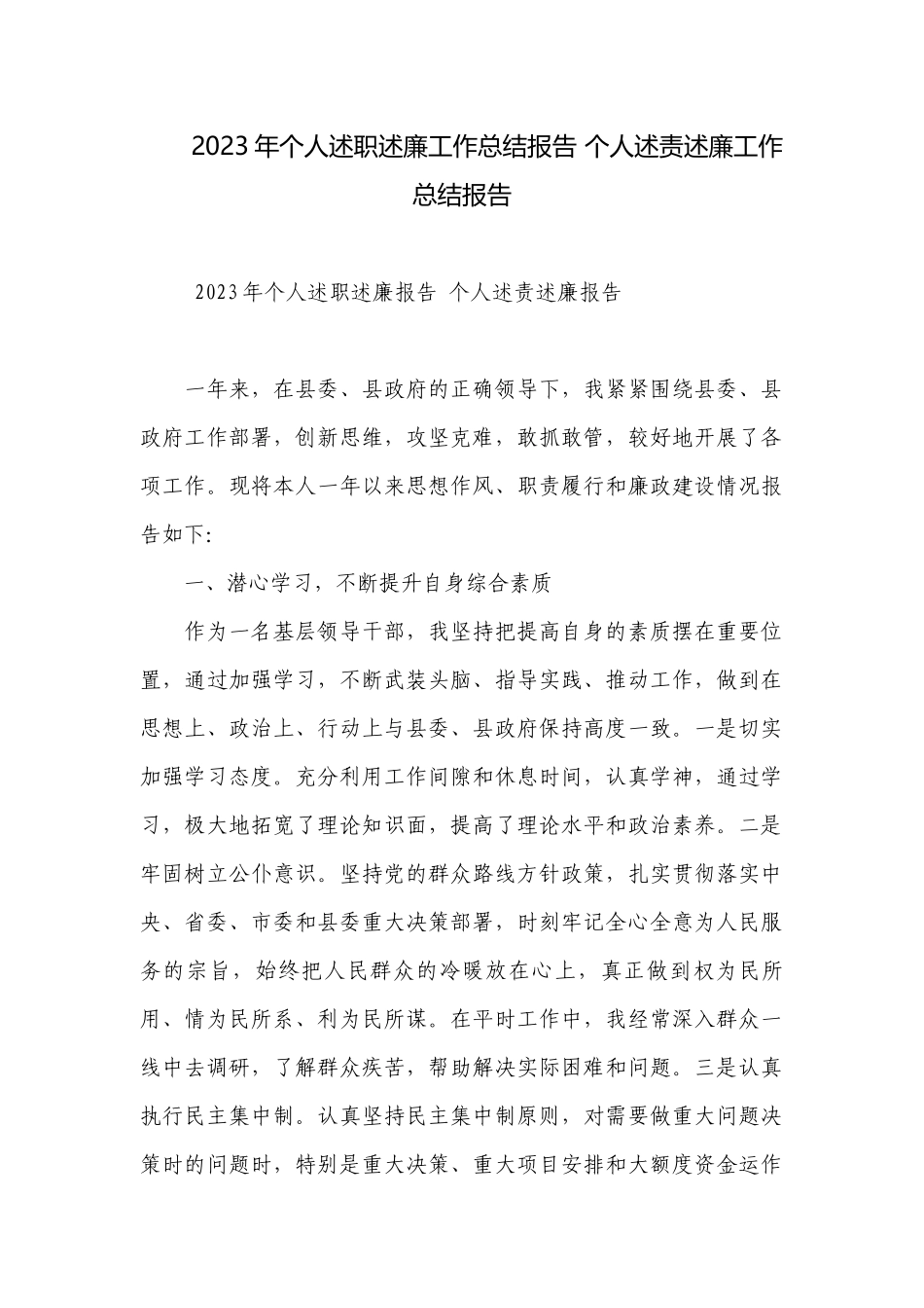 2023年个人述职述廉工作总结报告 个人述责述廉工作总结报告.docx_第1页
