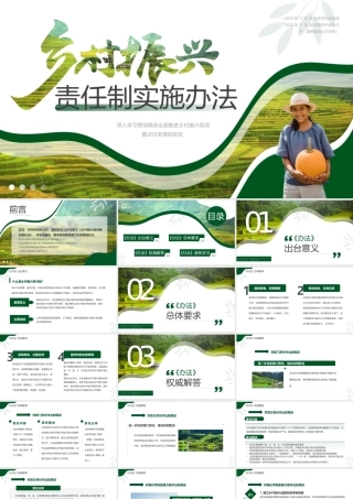乡村振兴责任制实施办法.pptx