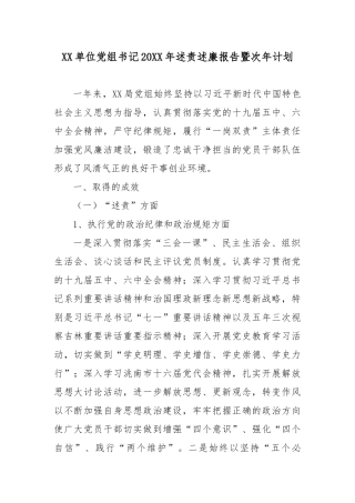 XX单位党组书记20XX年述责述廉报告暨次年计划.docx
