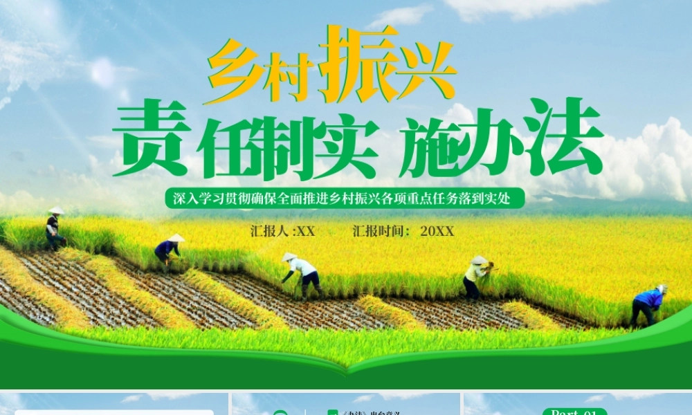 绿色党政乡村振兴责任制实施办法PPT模板.pptx
