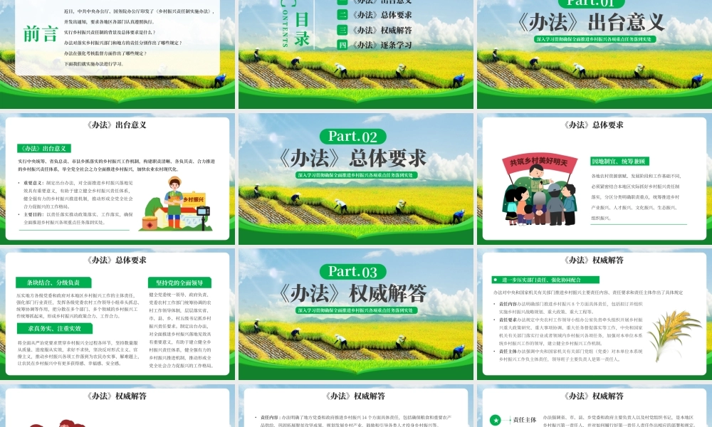 绿色党政乡村振兴责任制实施办法PPT模板.pptx
