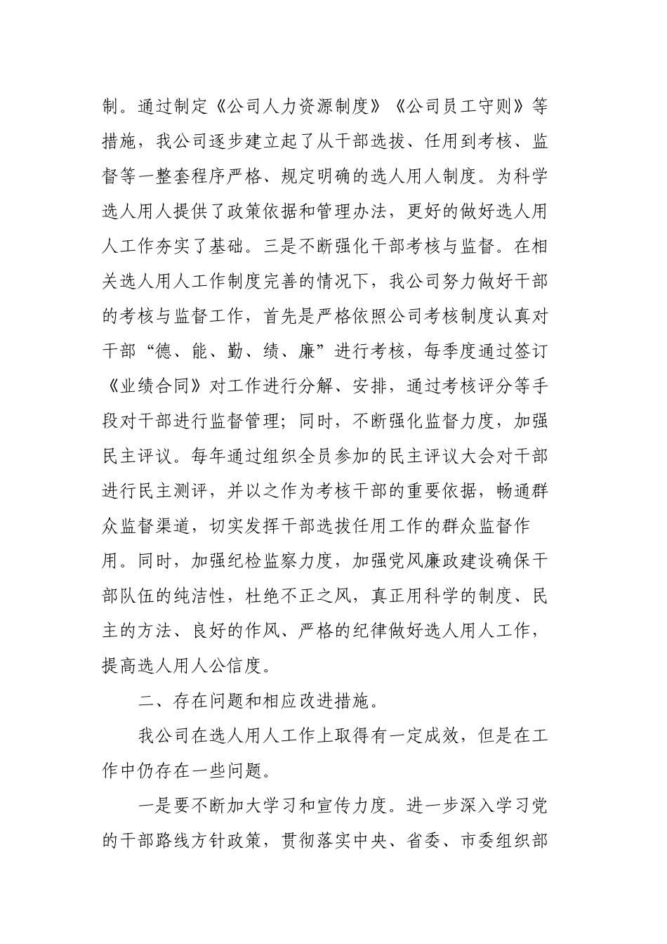 2022-2023年度有限责任公司选人用人工作自查报告.docx_第2页