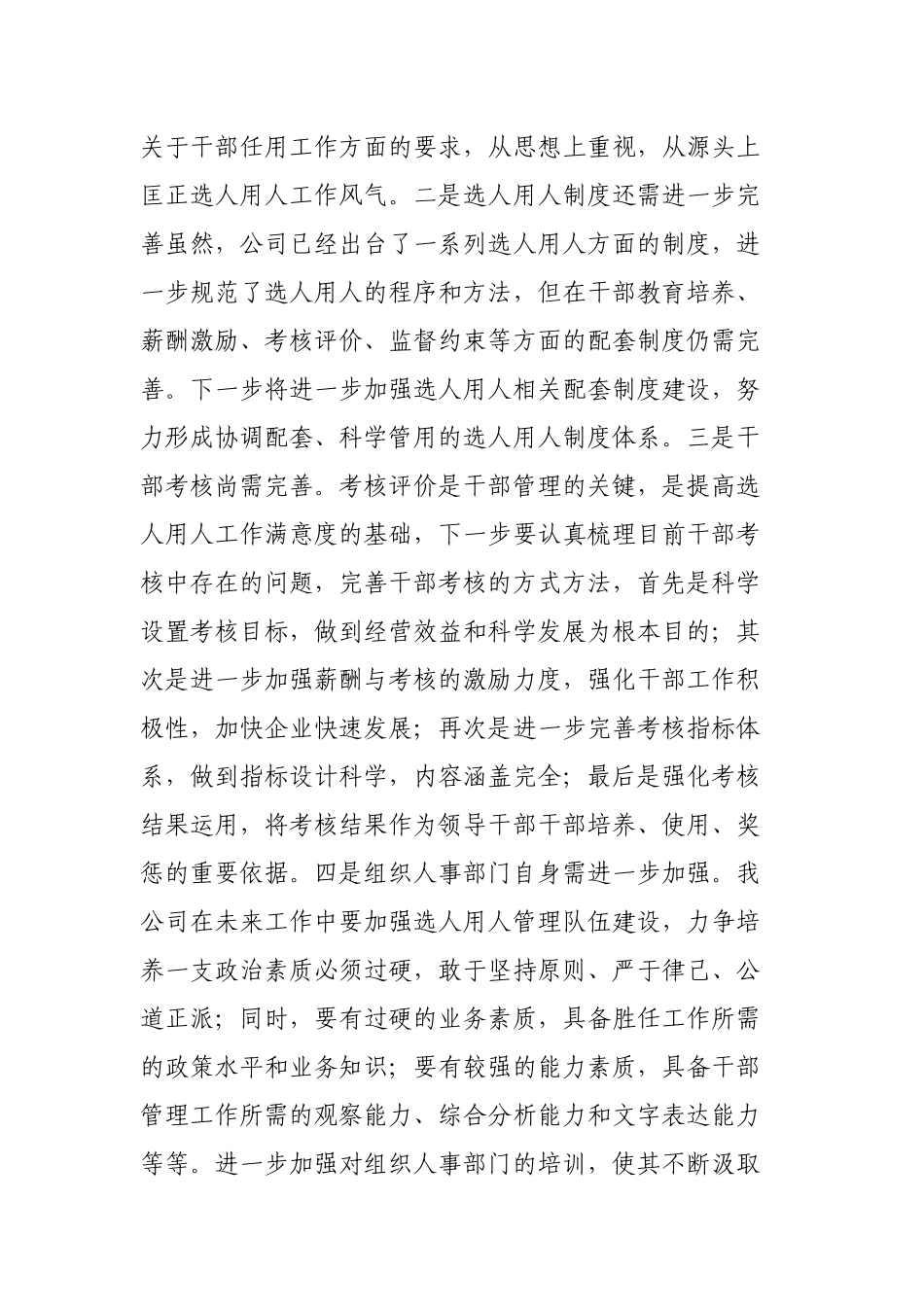 2022-2023年度有限责任公司选人用人工作自查报告.docx_第3页