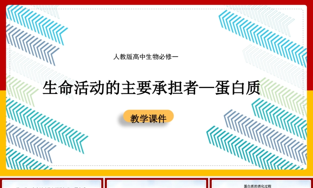 高中生物人教版必修一《22生命活动的主要承担者蛋白质》课件.pptx