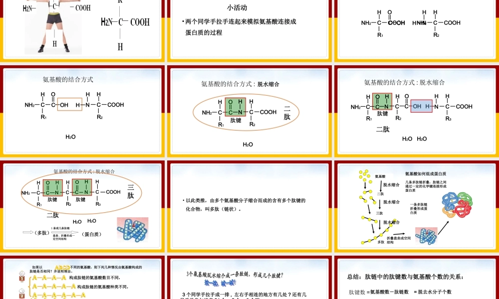 高中生物人教版必修一《22生命活动的主要承担者蛋白质》课件.pptx