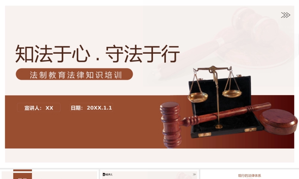 商务风法制教育法律知识培训.pptx