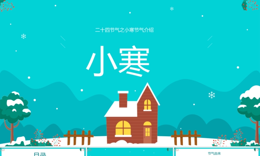 传统二十四节气小寒节气介绍.pptx