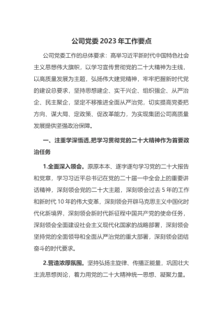 公司党委2023年工作要点.docx