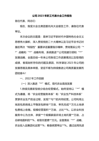 公司2023年职工代表大会工作报告.docx