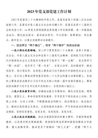 2023年党支部党建工作计划.docx