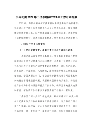 公司纪委2022年工作总结和2023年工作计划合集.docx