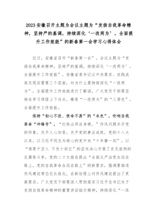 2023安徽召开主题为会议主题为“发扬自我革命精神坚持严的基调持续深化‘一改两为’全面提升工作效能”的新春第一会学习心得体会2篇.docx