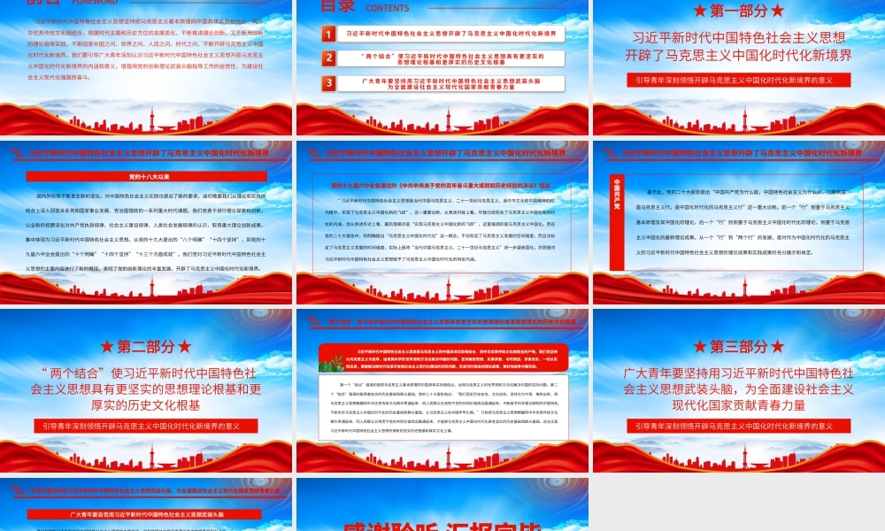 引导青年深刻领悟开辟马克思主义中国化时代化新境界的意义PPT增强用党的创新理论武装头脑指导工作的自觉性PPT课件（带内容）.pptx