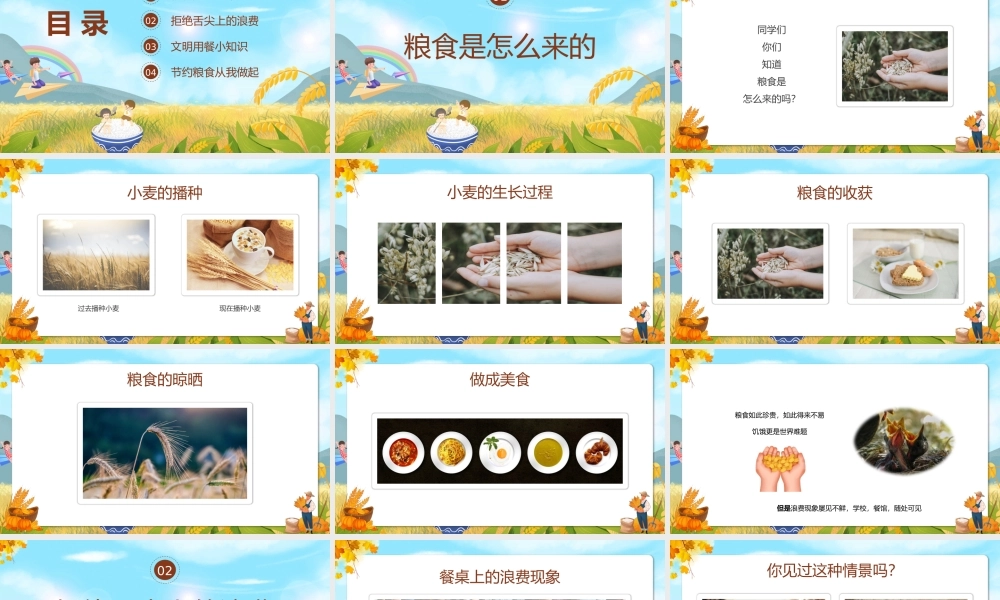 世界粮食日节约粮食主题.pptx