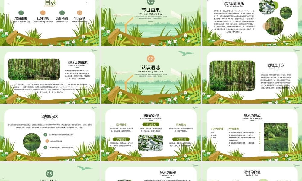 大气世界湿地日公益宣传PPT模板.pptx