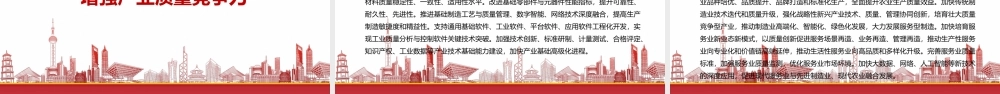 学习2023《质量强国建设纲要》重点要点PPT课件（带内容）.pptx
