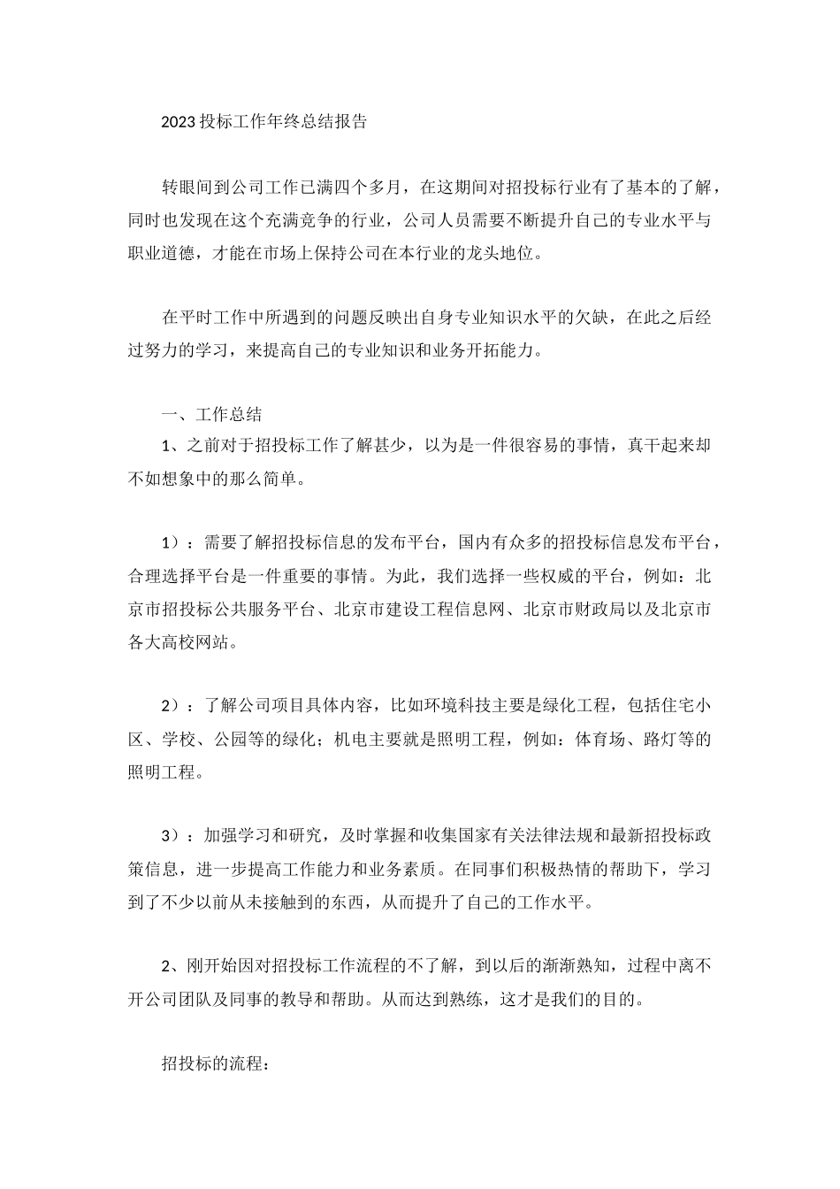 2023投标工作年终总结报告.docx_第1页