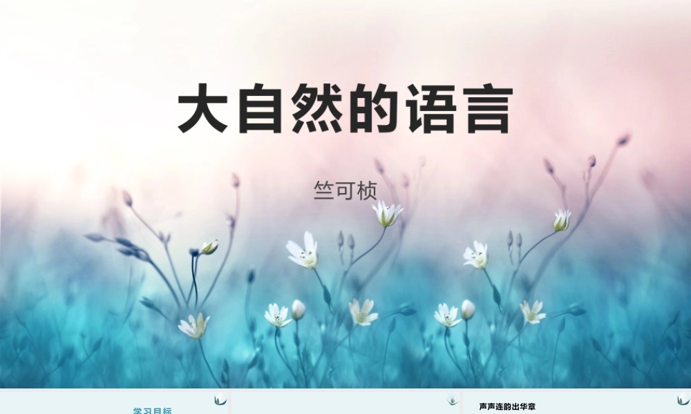 部编语文名师公开课一等奖教学设计大自然的语言.pptx