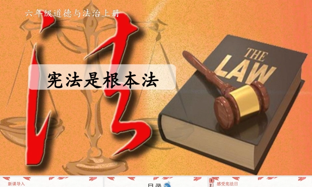 《宪法是根本法》PPT课件下载.pptx
