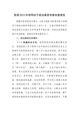 2023年政治素质考察自查报告：2023年领导班子政治素质考察自查报告.docx
